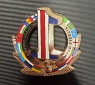 Marine Corps Embassy Security Group Region 1 challenge coin reverse