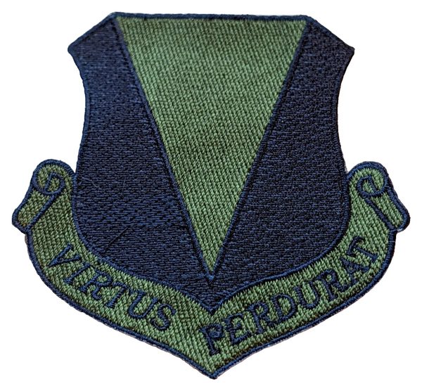 86th Wing (86 TFW/86 AW) (subdued) patch